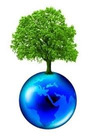 arbre-et-planete-eau.jpg